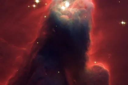 圣诞树星团