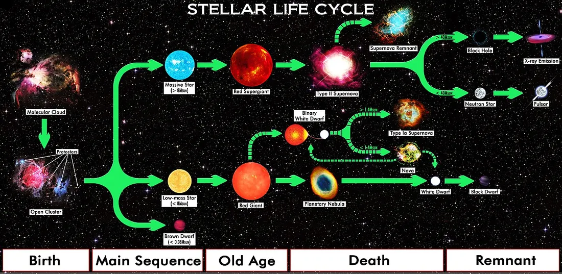不同初始质量恒星的演化路径示意图,从原恒星到白矮星、中子星或黑洞
