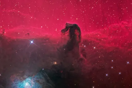 马头星云