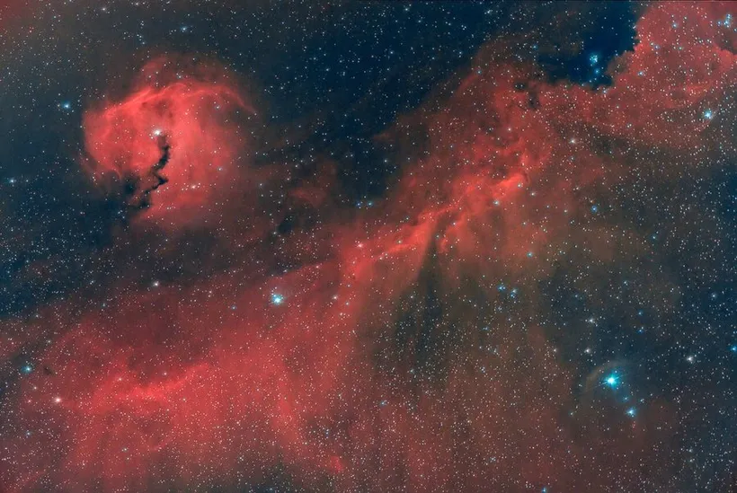 海鸥星云