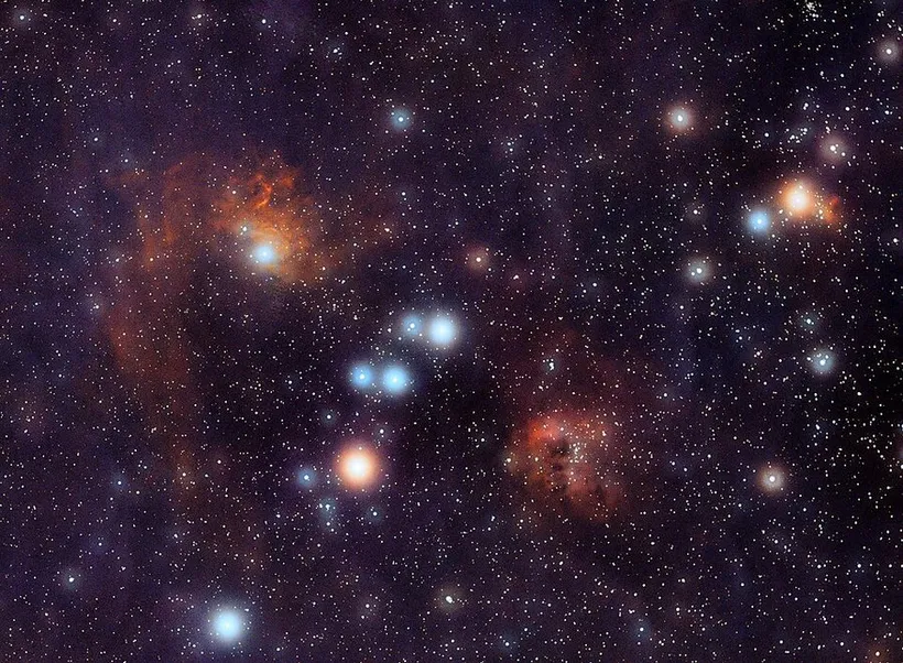 蝌蚪星云