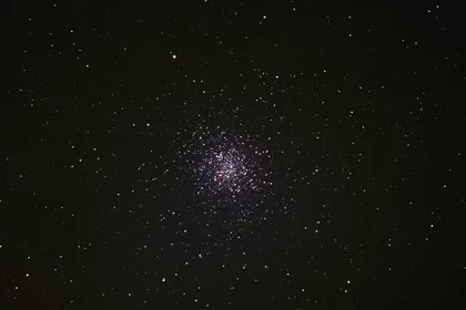野鸭星团