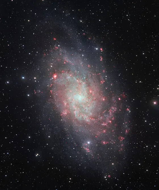 三角座星系 M33(Triangulum Galaxy)