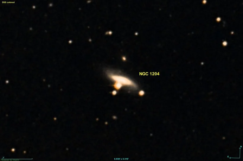 NGC 1232
