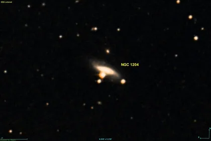 NGC 1232