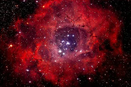 玫瑰星团