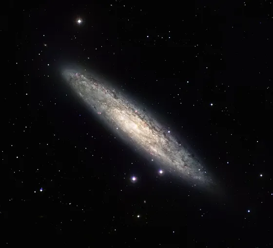 玉夫座星系 NGC 253(Sculptor Galaxy)