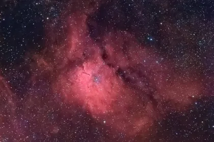 象鼻状的 NGC 6820