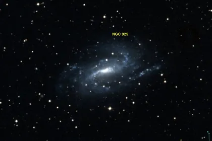 NGC 925