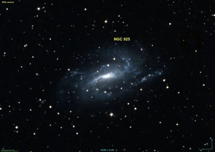 NGC 925