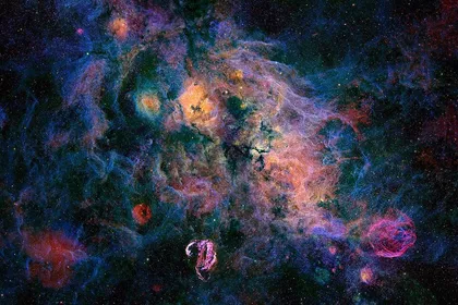 郁金香星云