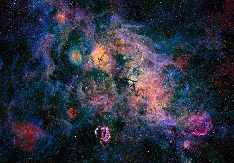 郁金香星云